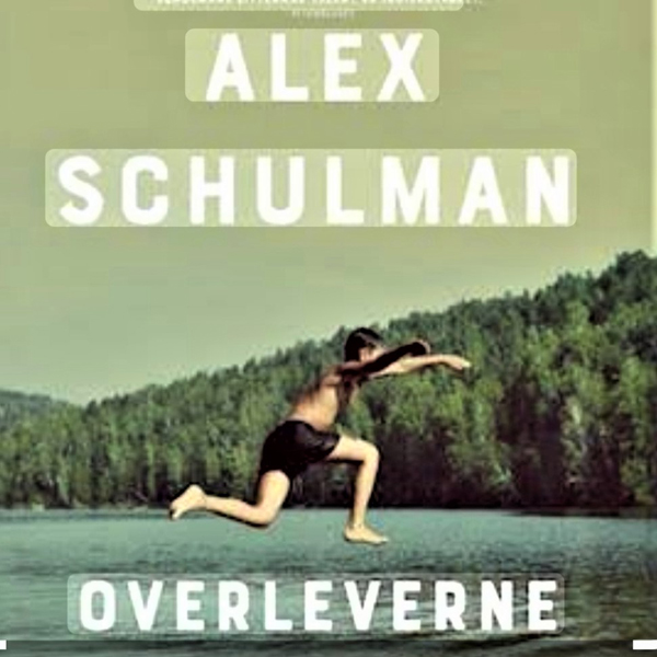 Overleverne af Alex Schulman