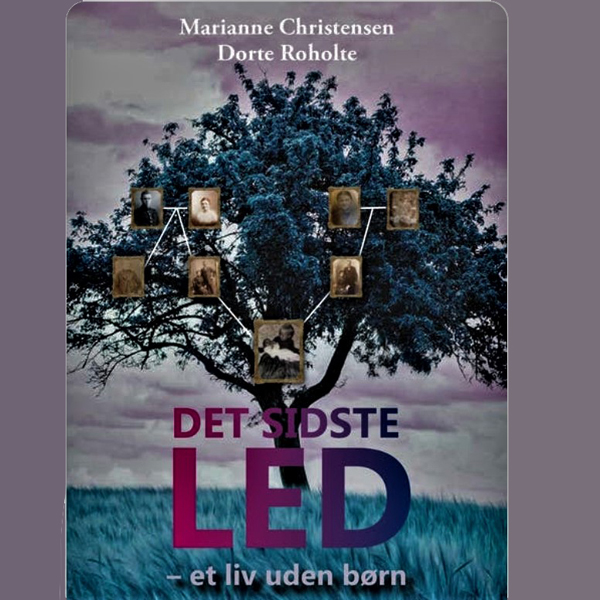 Det sidste led - et liv uden børn af Marianne Christensen og Dorte Roholte