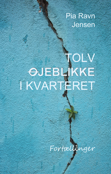 Tolv øjeblikke i kvarteret noveller